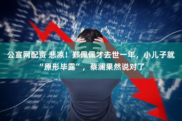 公宣网配资 悲凉！郑佩佩才去世一年，小儿子就“原形毕露”，蔡澜果然说对了