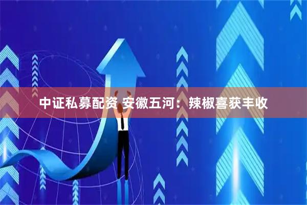 中证私募配资 安徽五河：辣椒喜获丰收